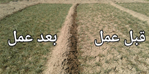 قیمت گوگرد پودری و قیمت گوگرد بنتونیت دار